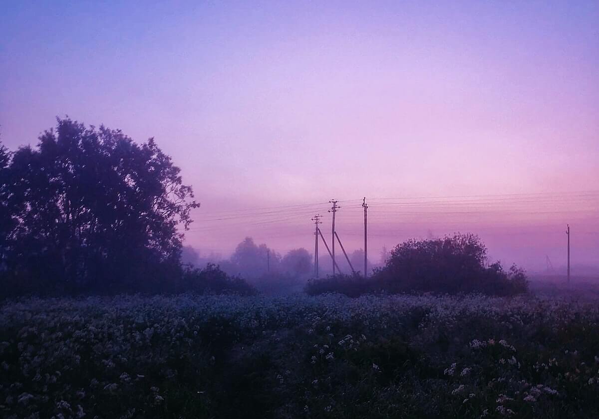 世界杯高清观看-嫣然天使儿童医院房东确为医美机构思妍丽创始人张毅